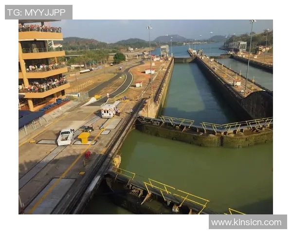 国民波托与勇者的对决：勇气与智慧的终极较量